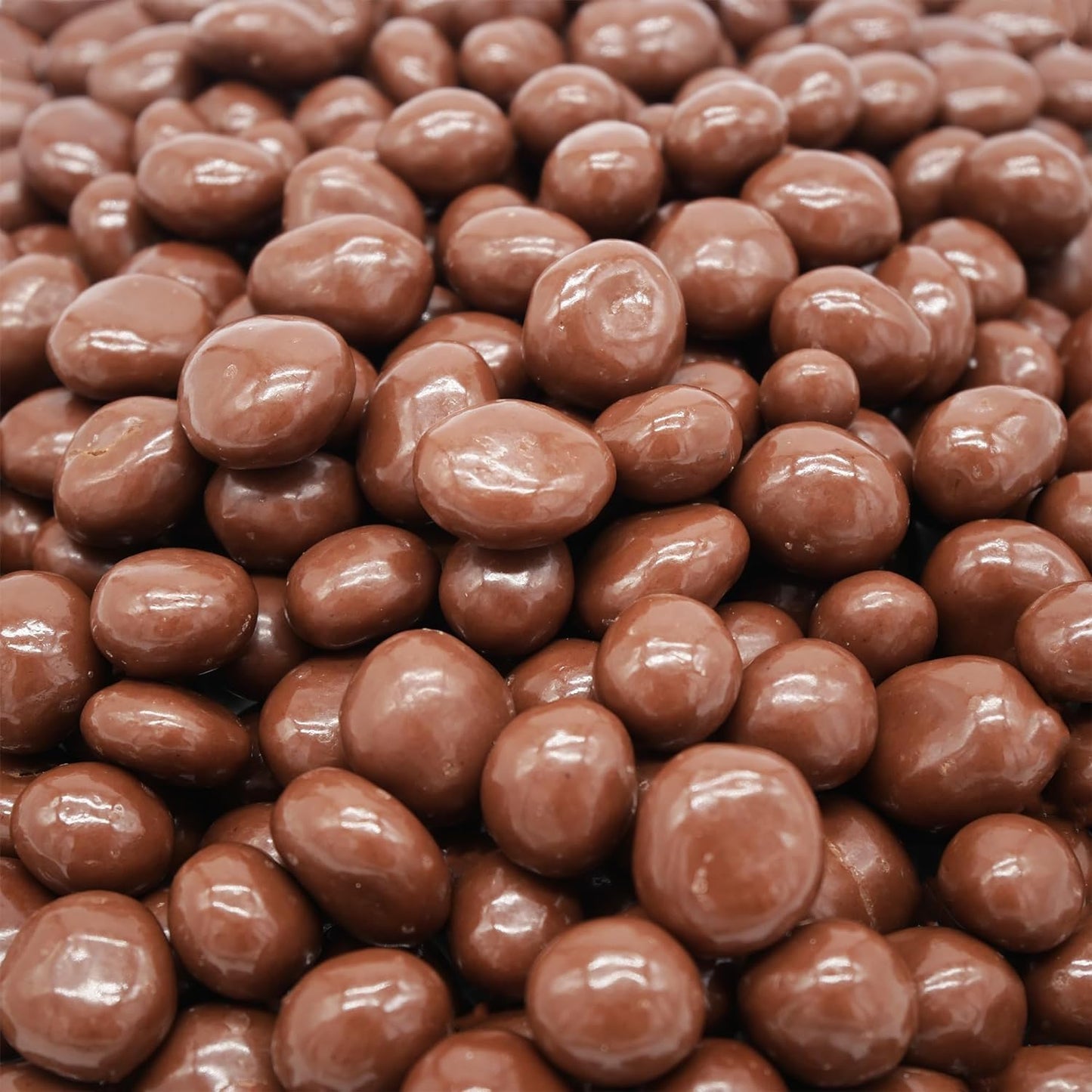 Hayden Valley Foods Milk Chocolate Covered Raisins - 26oz Resealable Bag